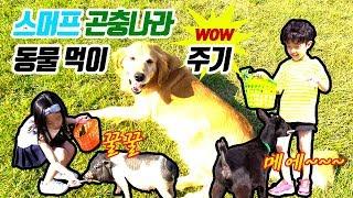 스머프곤충나라 동물먹이주기 체험! Animal Feeding Experience ㅣ 아쌈튜브 ASSAMtue