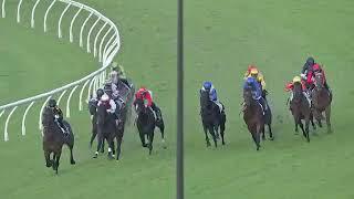 VILANA WINS THE 2024 MORETON CUP AT EAGLE FARM