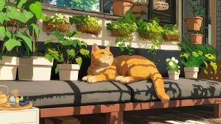 Lofi With My Cat || Small Garden Rooms 🪴  Lofi MixMorning Lofi Songs To Start Your Day Peacefully