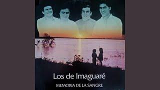 Memoria de la sangre