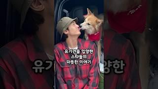 유기견을 입양한 스타들의 따뜻한 이야기