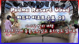 [발리여행 06] 리조트안에 유치원도 있고 동물원도 있고 아이랑 여행하는 분들에게는 이보다 더 좋은 곳은 없어요! Padma Resort Ubud 03 [파드마 리조트 우붓 03]