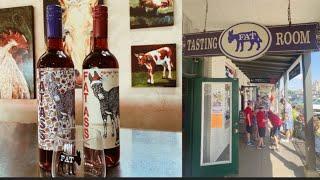 Unveiling the Charm: Wine Tasting in Fredericksburg, Texas