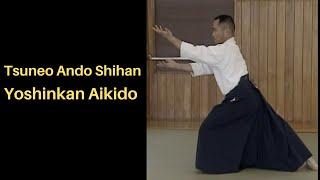 Ando Shihan - Yoshinkan Aikido - Instruction - 2004