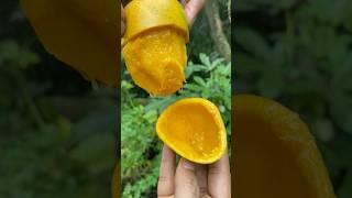special fruit#fruit #mango #shorts