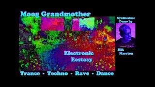 Moog Grandmother Electronic Ecstasy Analog Synthesizer Dance Music Rik Marston