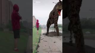 Walk with me  #funny #Respect#Omgmoment #talent#Epicskill #short |BEST CLIP EVER of 2021 #206