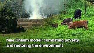 Mae Chaem model: combating poverty and restoring the environment