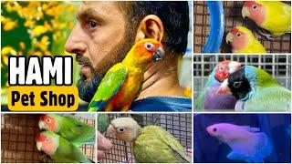 Hami Fish Aquarium & Exotic Birds Pet Shop, Jogeshwari (W), Mumbai