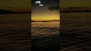 JOB DATA HUB  Beqisoft  are hiring Sr.