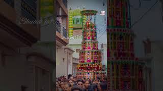 10 Muharram Taziya 1445|2023 | Amroha Azadari | Shafatpota Taziya #amrohajuloos #amrohaazadari