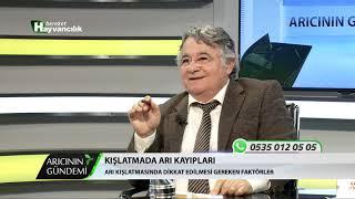 Arıcının Gündemi - Kışlatma Hazırlıkları ve Kışlatma Sürecindeki Arı Kayıpları