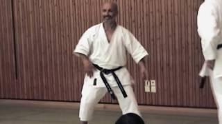 KARATE STAGE: Schwäbisch Hall, Germany – Sochin | Shōtōkan Karate with Fiore Tartaglia