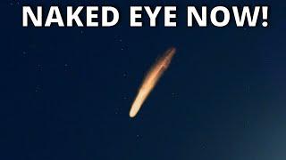 WATCH THIS COMET NAKED EYE NOW!