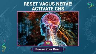 Reset Your Vagus Nerve - Activate Central Nervous System (CNS) - Rewire Your Brain - Music Therapy