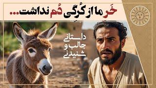 حکایت خر ما از کرگی دم نداشت | آفتاب قصه های فارسی