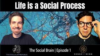 Life is a Social Process (The Social Brain Ep 1)