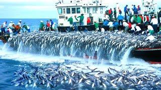 Unbelievable Fishing Haul With Big Nets - How Fishermen Catch 100s of Tons of Fish