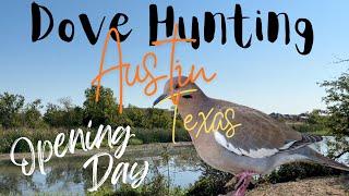 Austin Texas Dove Hunting