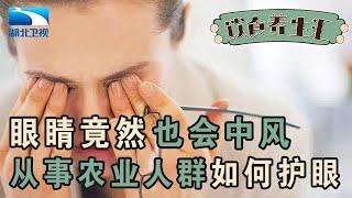 眼睛竟然也可能中风,户外工作人群的几个护眼秘诀,一定要尽早学会【饮食养生汇】