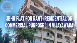 3BHK FLAT FOR RENT IN VIJAYAWADA NUMBER-8147950342 |3BHK FLAT|TELUGU|ap