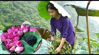 Harvesting Lotus Flowers and Seeds - Making Nutritious Lotus Dessert | Wild Flower