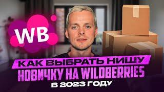 Как выбрать нишу новичку на WILDBERRIES в 2023 году с помощью MPSTATS