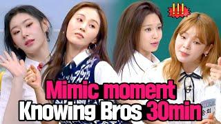 [Knowing Bros] Compilation of Funny Moments Where Female Idols Mimic Each Other 