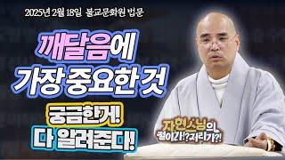 깨달음과 스승 중 뭐가 더 중요할까? - 이래도 될까? 이건 뭘까? 자현스님의 통쾌한 해답!