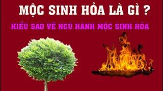 Mộc sinh Hỏa là gì ? Hiểu sao về ngũ hành Mộc sinh Hỏa ?