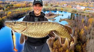 EXPLORER UN RUISSEAU UNIQUE AVEC UN BROCHET GÉANT DE 16 KG