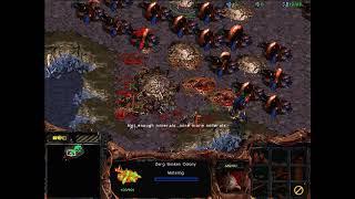 StarCraft: Brood War - 1 Zerg vs 7 Zerg (vs 7 computers ) Map: Big Game Hunters