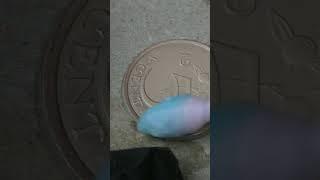 Fast coin cleaning