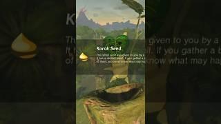 Korok Seed 8, Exact Map Location!!