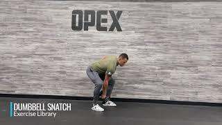 Dumbbell Snatch