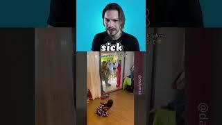 TikTok Weekly Compilation #2! #youlaughyoulose #twitch  #funny