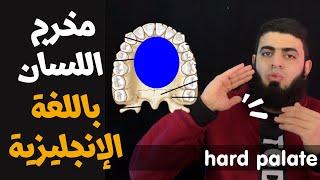 مخرج اللسان باللغة الإنجليزية