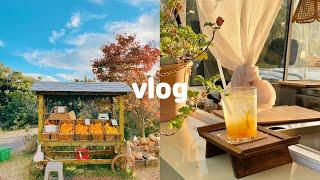 ENG) JEJU vlog | I met DINDIN 2days 1night | Halloween Party | Hiking | Cafe tour |