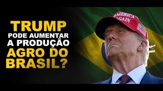 TRUMP PODE AUMENTAR A PRODUÇÃO AGRO DO BRASIL?