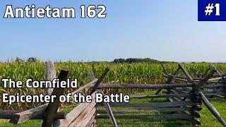 The Cornfield and Epicenter | Antietam Battlefield Tour | Antietam 162