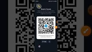 how to get my wallet address or receive crypto in my TON wallet