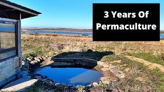 3 years of permaculture transformation