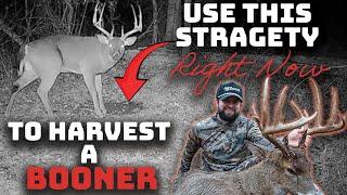 Use this strategy right now to harvest your biggest buck  | Mid October through November Whitetails