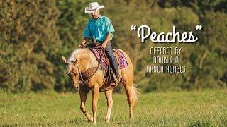 “Peaches” SAFE and gorgeous all-around AQHA mare, offered on horsebid.com August 18th