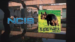 Seether ON TV NCIS clip (No Shelter)