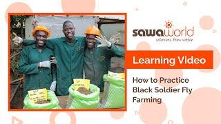 Learning Video: How to Practice Black Soldier Fly Farming