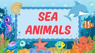 Sea Animals | Learn Sea Animals names in English | Kids Learning | BrainyBeams