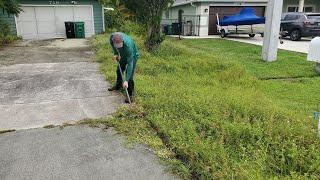 Owner Passes Away and her Children want NOTHING to do with this OVERGROWN JUNGLE of a Property