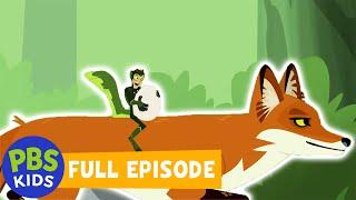 Wild Kratts FULL EPISODE | Outfoxed | PBS KIDS