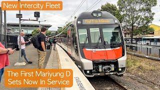 Transport for Sydney Vlog 906: The First Mariyung D Sets Now In Service